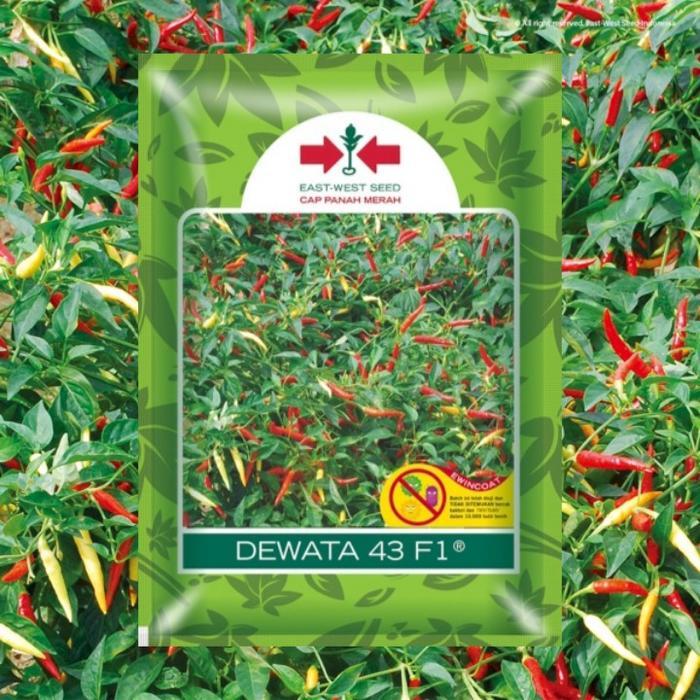 100 Biji Cabe Dewata 43 F1 Benih Cabai Rawit Dewata