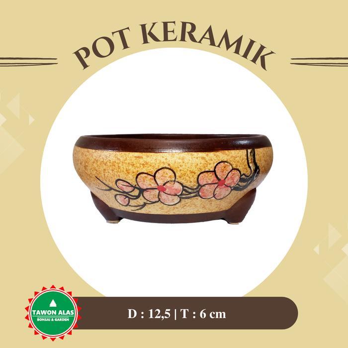 Najwa Gadget Pot Bonsai Keramik Bulat Mame Small