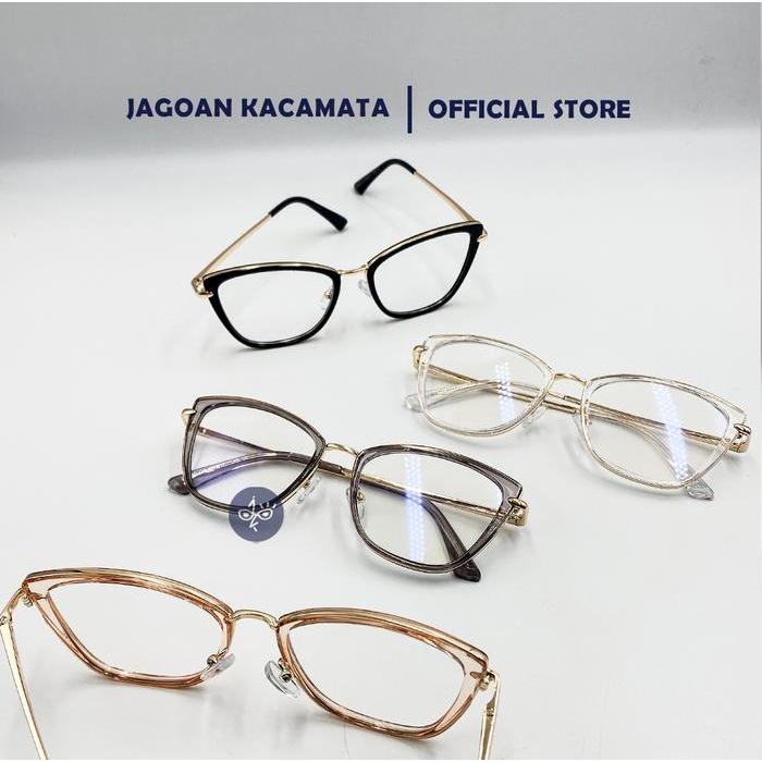 Jagoan Kacamata - Erlin Frame