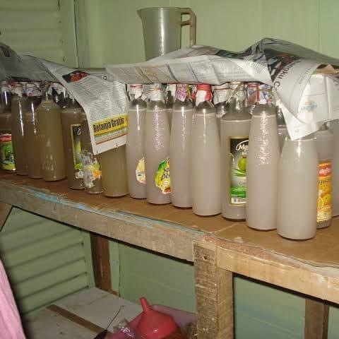 Starter Nata De Coco 500Ml