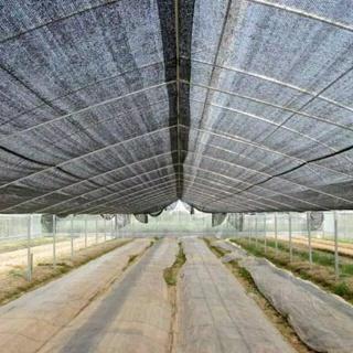 PARANET 90 PERSEN GRADE A PANJANG 5 METER X LEBAR 4 METER - TANAMAN JARING PARANET