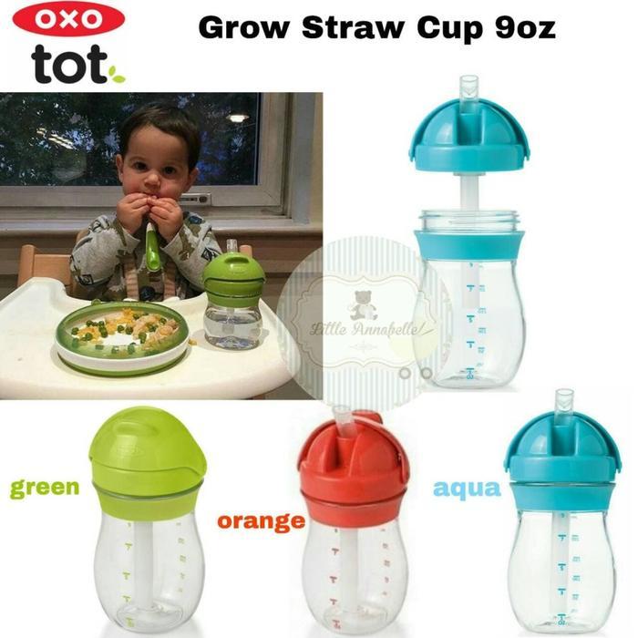 Oxo Tot Grow Straw Cup 9oz