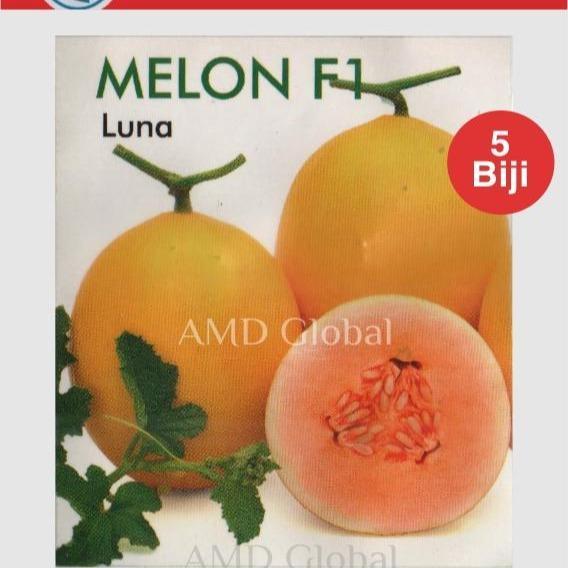 Najwa Gadget Benih Melon Golden Luna F1 Known You Seed Isi 5 Biji