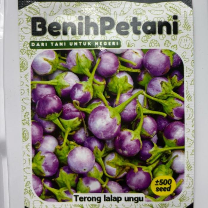 500 benih - bibit terong lalap gelatik bulat ungu kecil sayuran