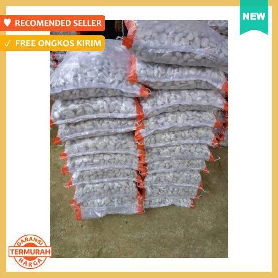 "New" batu koral hitam Bengkulu perkarung