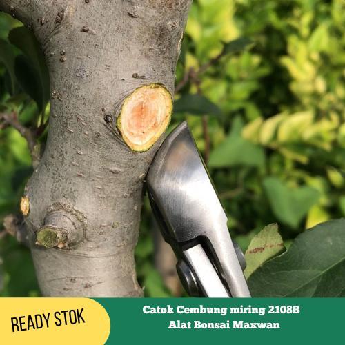 Alat bonsai, Catok cembung miring 2108B Maxwan
