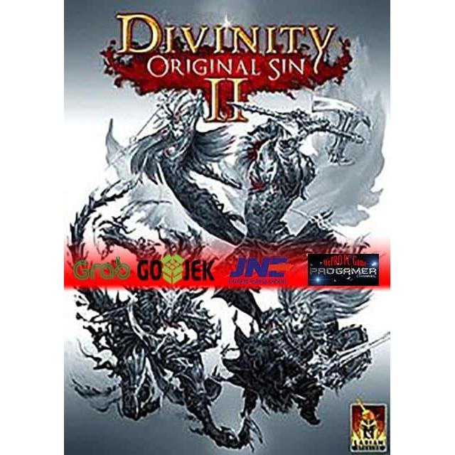 Terlaris DIVINITY ORIGINAL SIN 2 GAME PC PC GAME DVD GAME MURAH SALE