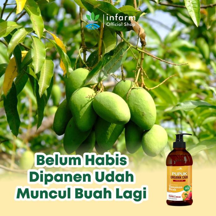 Premium Infarm - Pupuk Infarm Buah Pupuk Organik Cair Tanaman Daun Sayur 500Ml Poc Kompos Infarm