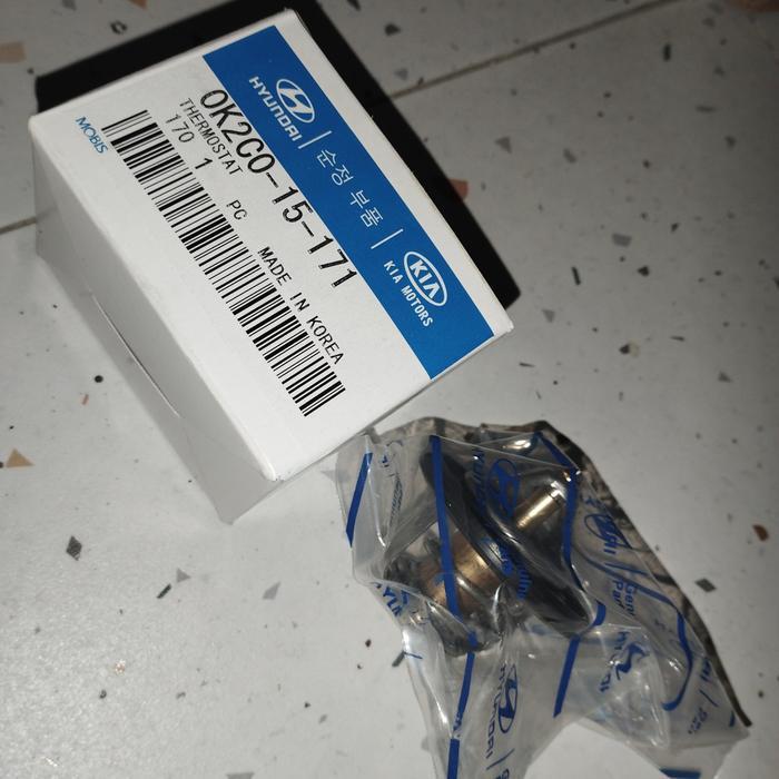 Thermostat Kia Carnival