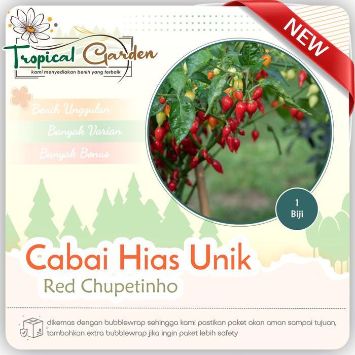 Benih Biji Cabai Cupetinho Cabai Hias