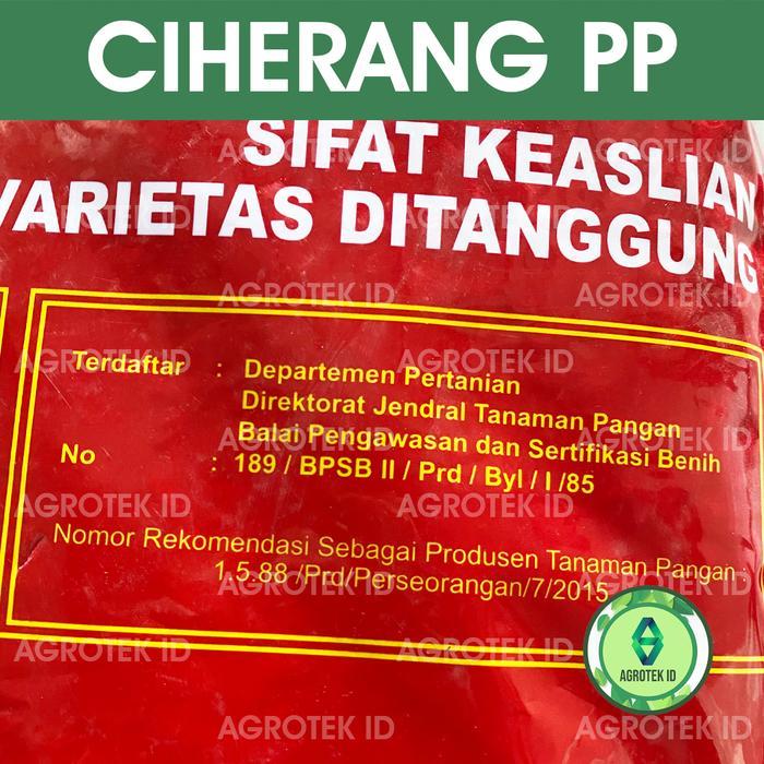 Sale Terlaris Benih Padi Ciherang Premium 5 Kg Pp Kerja