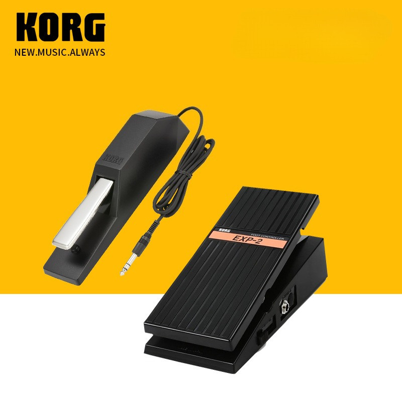 KORG EC5 expression electronic organ EXP-2 volume XVP-20 pedal DS-1H sustain PS-1/3 keyboard PU-2