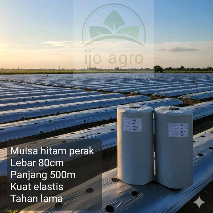 PLASTIK MULSA HITAM PERAK LEBAR 80CM 1 ROLL PANJANG 500 METER