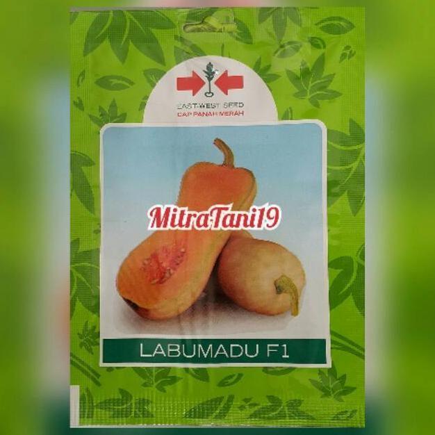 CAP PANAH MERAH BIBIT SAYURAN TANAMAN BENIH SAYUR BUAH BUAHAN LUH SSSS