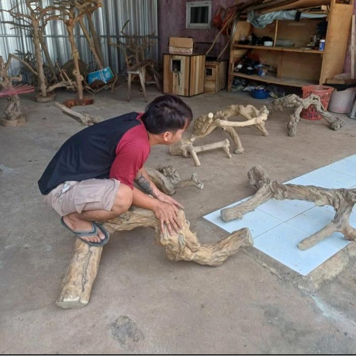 Ready Tangkringan Tenggeran Iguana Super Jumbo Xxl Berkualitas