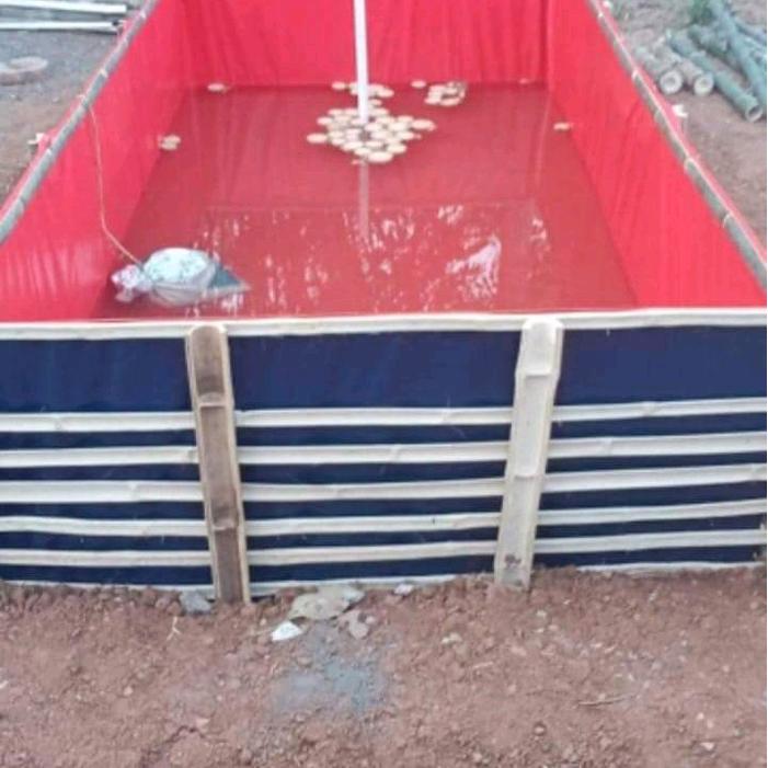 terpal kolam ikan ukuran jumbo A3 A5 A12 dan A20 KOREA