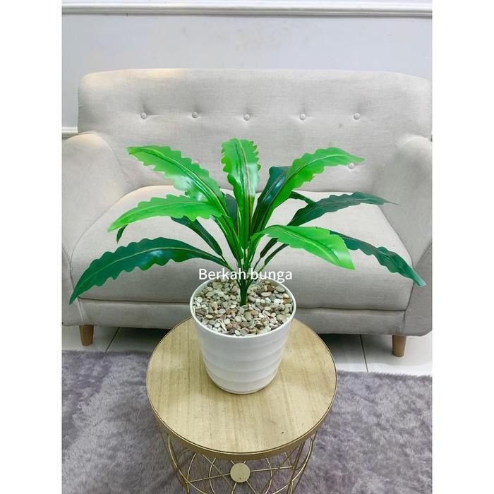 Tanaman hias plastik daun gelombang cinta varigrata artificial jumbo 18 Cabang hiasan dekorasi