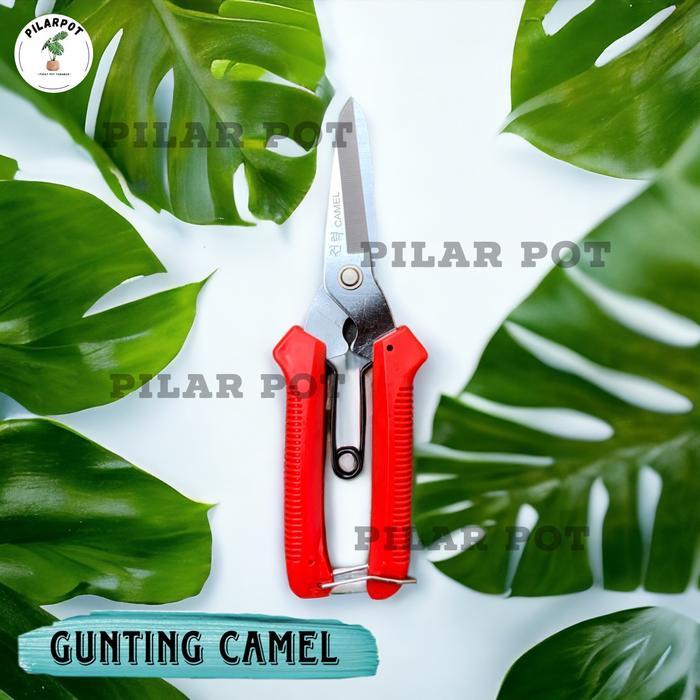 Gunting Lurus Serbaguna Dahan Ranting Korea Camel Jl 905 Stainless Terbaik