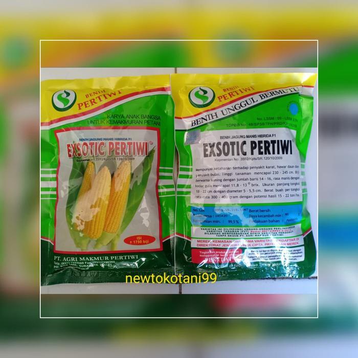 Benih / Bibit Jagung Manis Exsotic F1 250 Gram Biji Jagung Manis Hibrida Exotic 250Gr Dari Benih