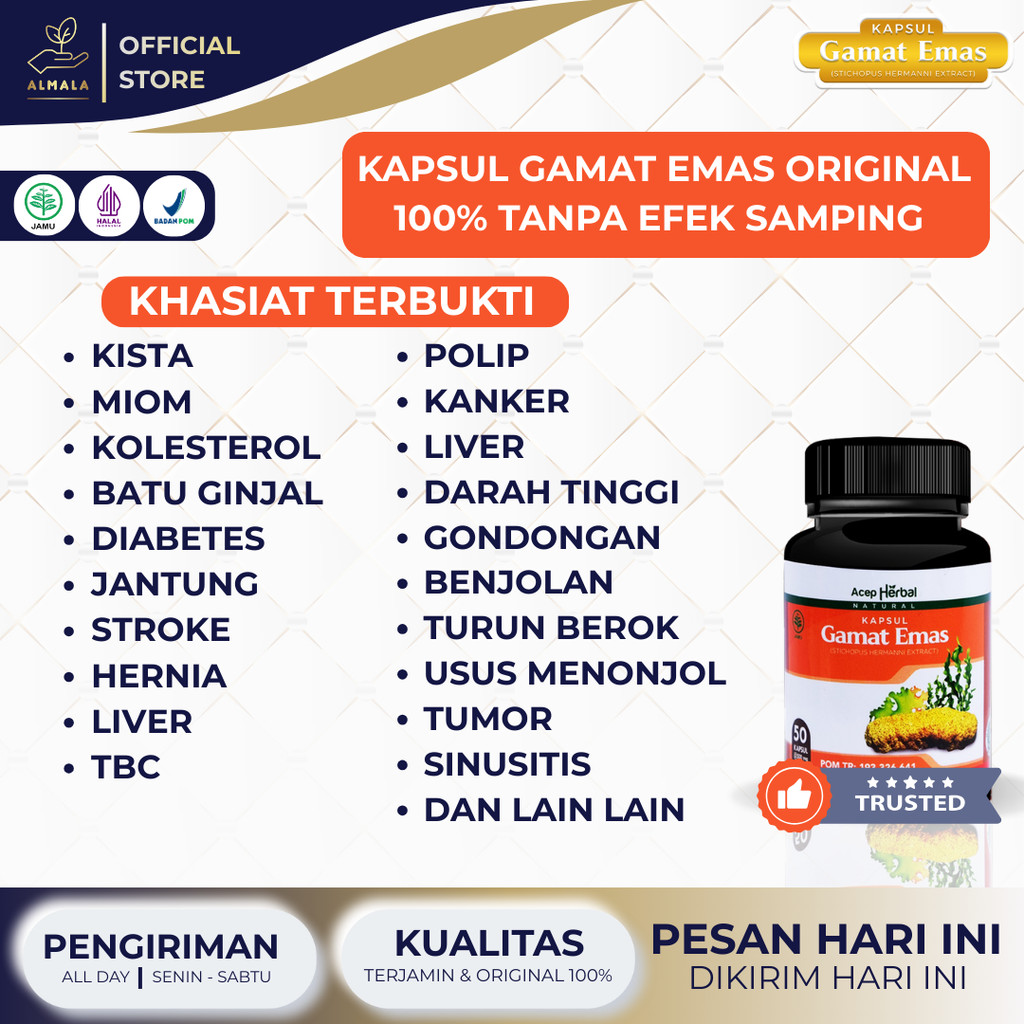 Obat Inguinalis/Femoralis, Turun Berok Pria dan Wanita, Buah Zakar Bengkak, Testis Bengkak/Nyeri, Va