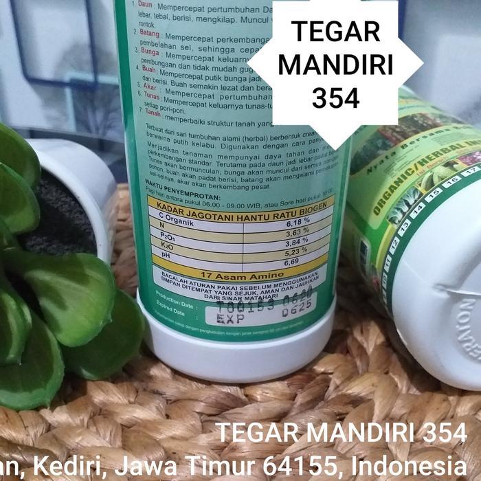 Zico Stored Pupuk Npk Jimmy Hantu /Hormon Tanaman Jimmy Hantu Ratu Biogen Pupuk Pembuahan Jimmy