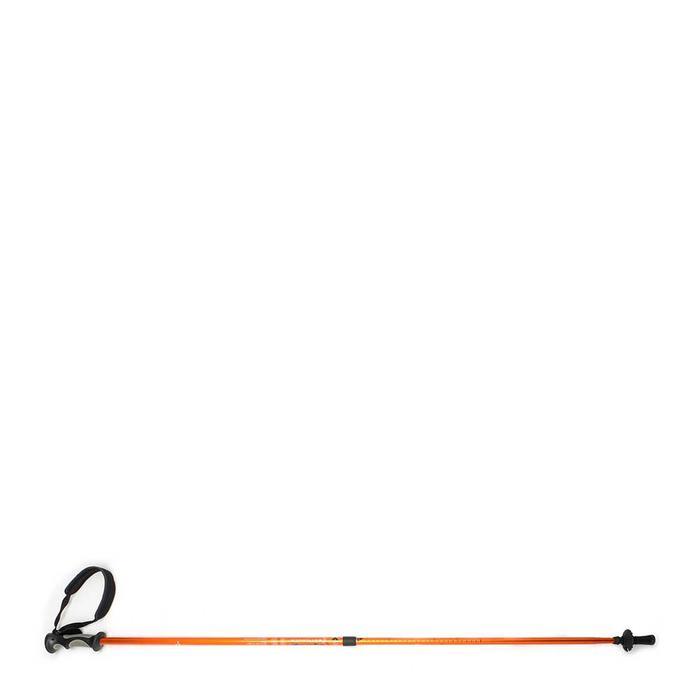 Eiger Trekking Pole 2 Section