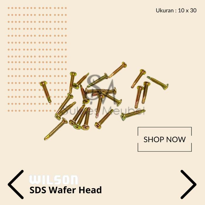 SDS WAFER HEAD 10X30 - WILSON (PAK) / SEKRUP WAFER HEAD WILSON