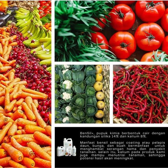Bensil+ Beneficial Silika + Kalium 500 Ml Pupuk Cair Silika + Kalium Terlaris