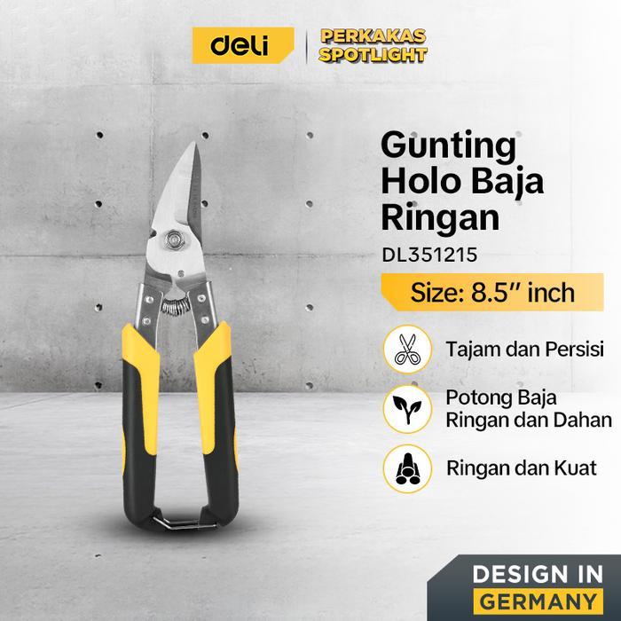 Rds - Deli Tools Gunting Holo Baja Ringan