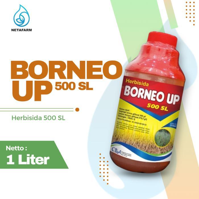 HERBISIDA BORNEO UP 500 SL PEMBASMI ANEKA GULMA - 1 LITER