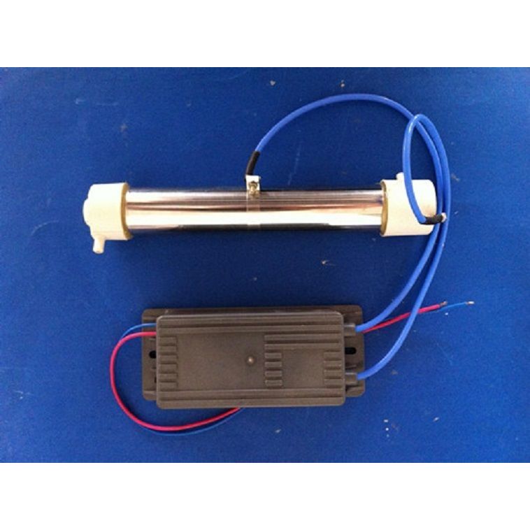 AC 220V 3g 3g/jam Generator Ozon Tabung Ozon untuk Pemurni Tanaman AIR DIY
