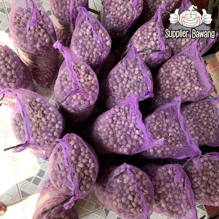 BAWANG PUTIH TUNGGAL/BAWANG LANANG TUNGGAL IMPORT JUMBO 1KG