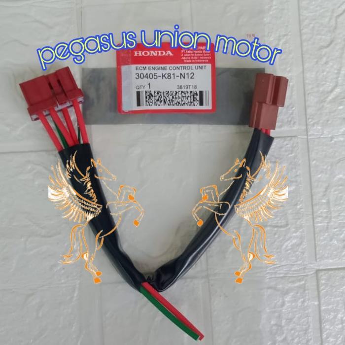 [Original] Kabel Socket Ecu Ecm Acg Beat Fi Pop Esp Scoopy Fi Vario 110 Fi