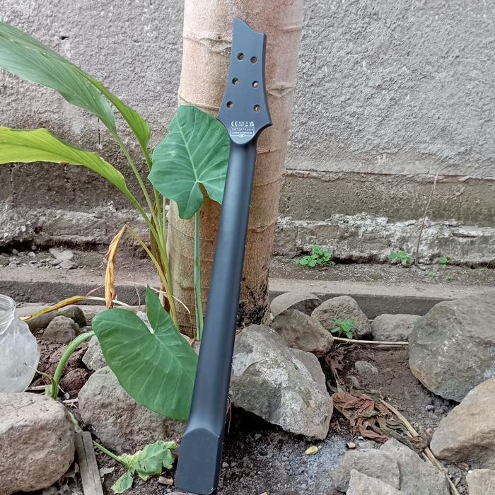 Neck Gitar Schecter Damien 6 String - IM