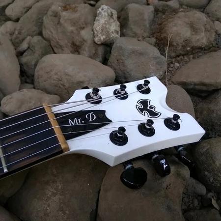 Gitar Rick Hanes D Squirrel Mr D Signature With Graptech Acousphonic - IM