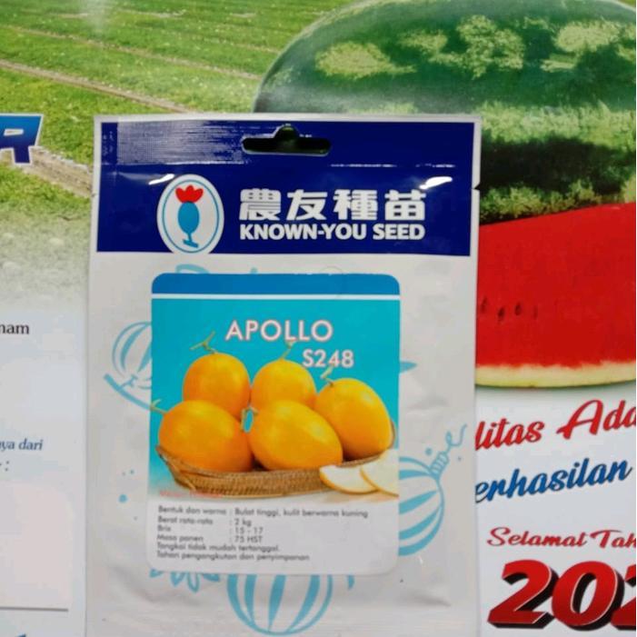 Benih Melon Golden Apollo F1 20gram Original Known You Seed