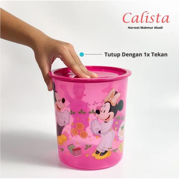 [CALISTA] TOPLES DISNEY ODATE 4 KG TOPLES LEBARAN