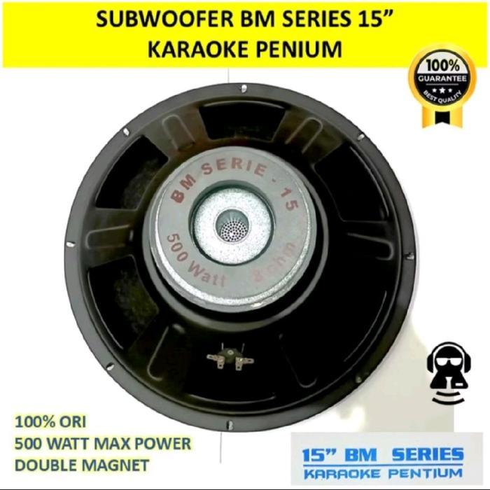 SPEAKER SUBWOOFER 15 INCH BM SERIE MODEL BMB 15" KARAOKE PENTIUM DOUBLE MAGNET