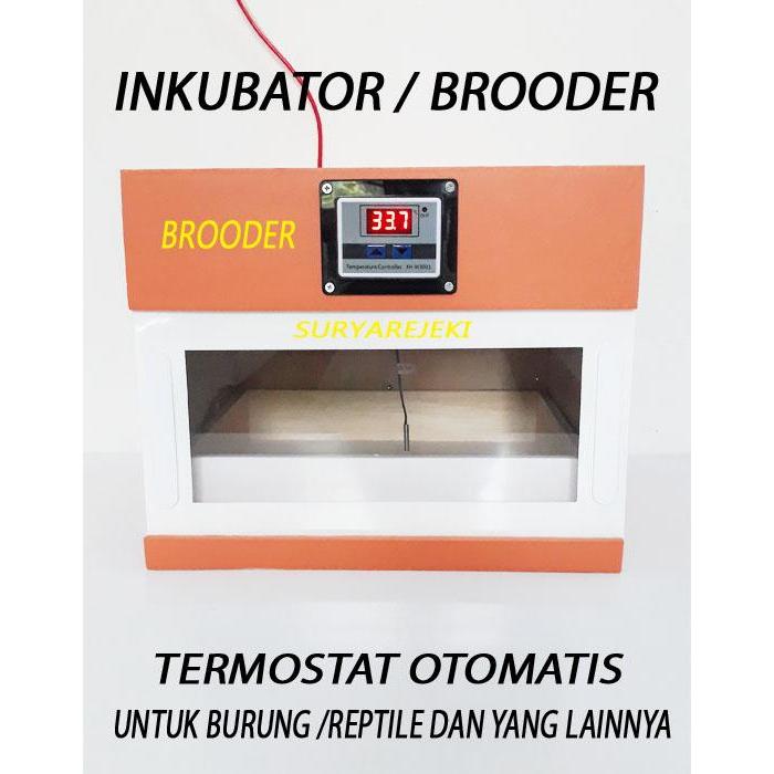 penghangat anakan burung inkubator penghangat anakan burung Gratis Ongkir