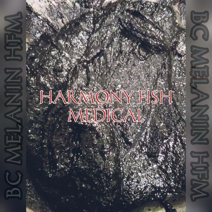 BC MELANIN HFM 200GR PASTA VITAMIN PIGMEN HITAM BLACK IKAN KOI KOKI