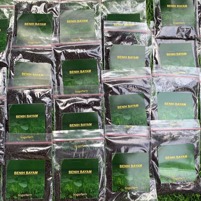 Sale Terlaris Benih Bayam Super 300 Benih Sayur Bayam 100% Bayam Super