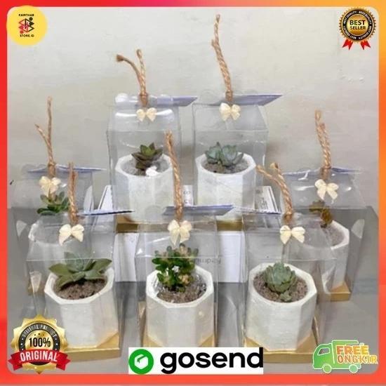 Tanaman Hidup Souvenir Kaktus Suculen ulang tahun Pernikahan Sekolah Hadiah back to school Souvenir