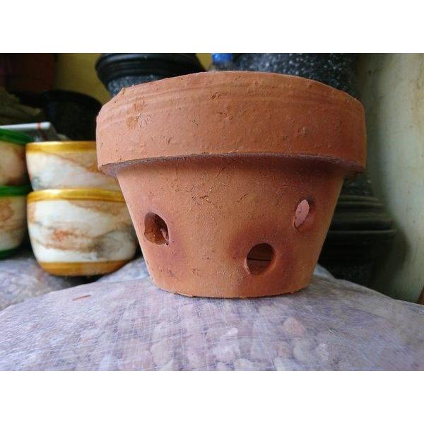 NEWW Pot anggrek tanah liat uk 15cm