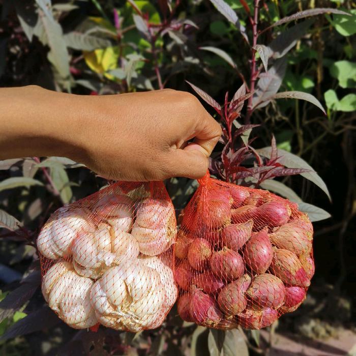 "New" Bawang Merah dan Bawang Putih Mix kemasan 500 gr Kecombrang