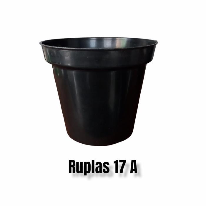 Pot Aglonema Pot Ruplas 17 A