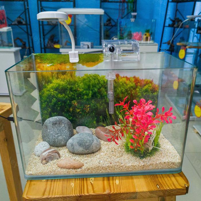 LEPET AQUARIUM PAKET 30 CM / AQUARIUM MELENGKUNG / AQUASCAPE / AQUARIUM BENDING