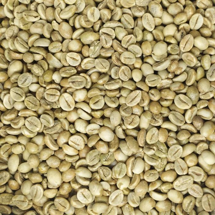 GREEN BEAN / KOPI MENTAH ROBUSTA DAMPIT GRADE 1 - 1 KG