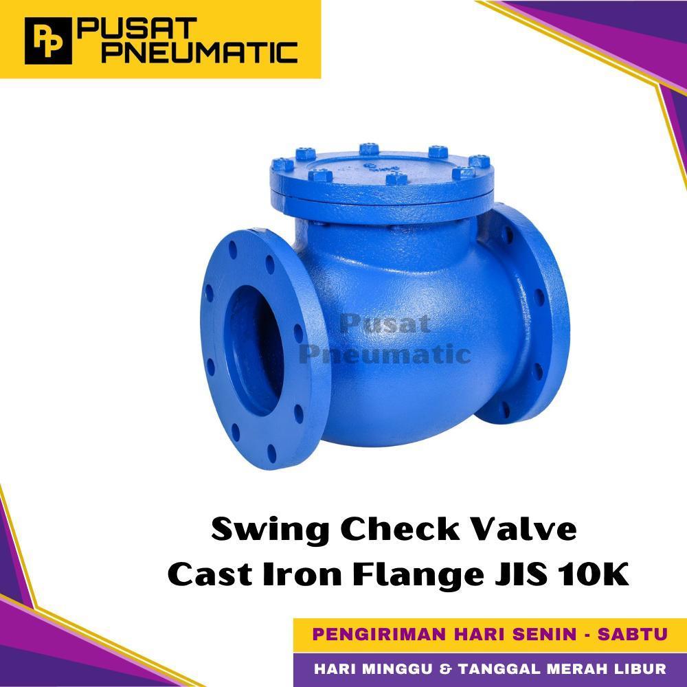 4" Swing Check Valve Cast Iron Flange JIS 10K Swing Check JIS 10K Size 4 Inch DN 100