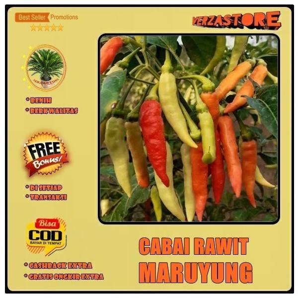 Biji Benih Cabe New MARUYUNG Cabai Rawit Unggul /20 Biji