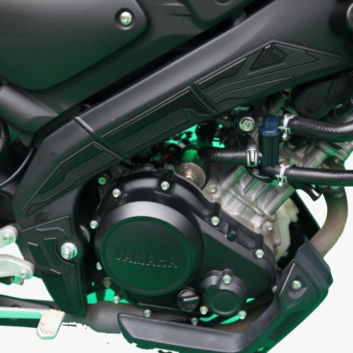 Hayaidesu XSR 155 Body Protector Delta Box Cover